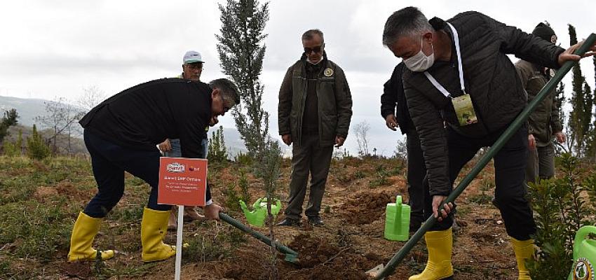 Banvit BRF 20 bin fidan dikerek “Banvit Ormanı” kuruyor