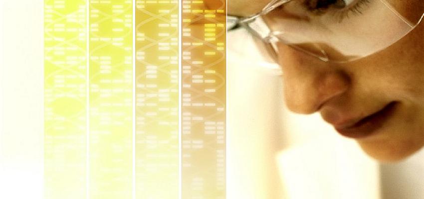 Bayer, Bilim İnsanlarını ve Araştırmacıları Testing4Ag Programına Davet Ediyor