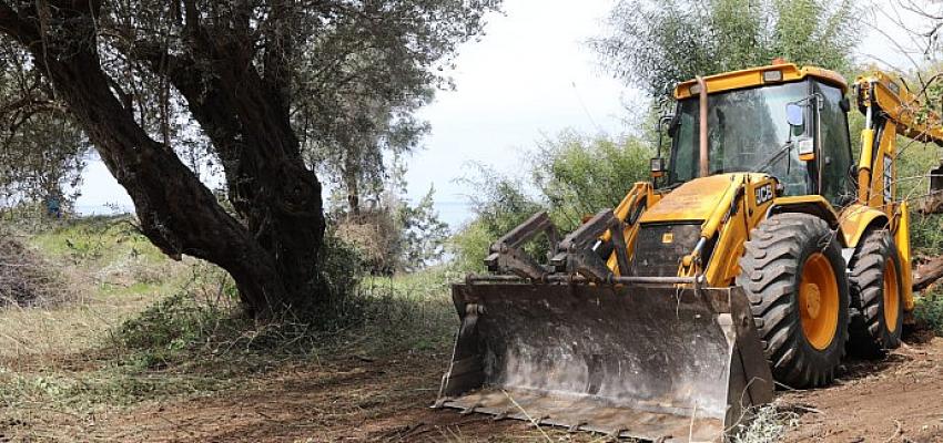 Didim Belediyesi Orman Yangınlarına Karşı Çalışmalarını Sürdürüyor