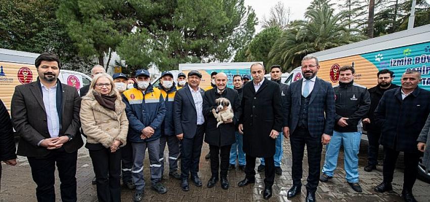 İzmir’de sahipsiz sokak köpekleri için rehabilitasyon hizmeti başladı