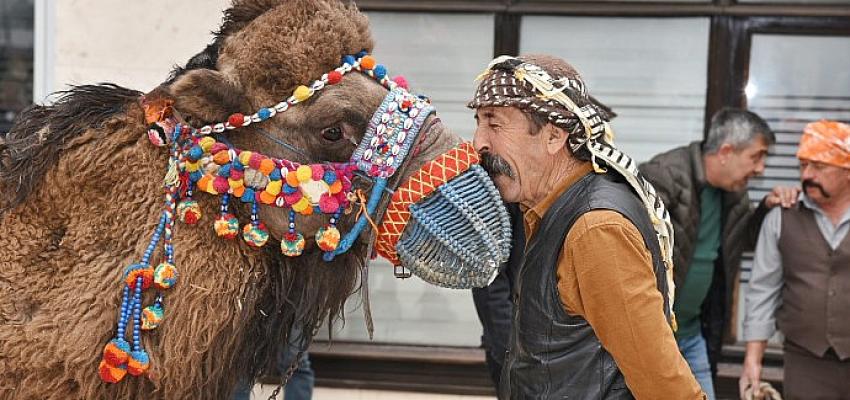 Menemen’de deve gösterisi heyecanı