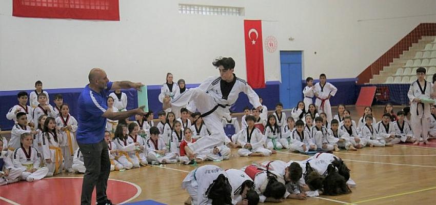 310 Sporcu Taekwondo Kuşak Sınavını Başarı İle Tamamladı
