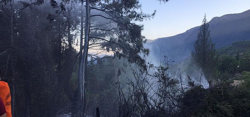Kemer’de Çıkan Orman Yangını Büyümeden Kontrol Altına Alındı