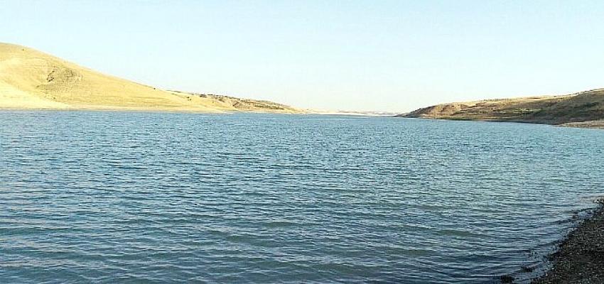 Harran Üniversitesi, Fırat Nehrinde Tehdit Oluşturan İstilacı Sazan Balıkları İçin Proje Üretiyor