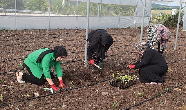 Kocaeli Büyükşehir'den kadın girişimcilere tarımsal destek
